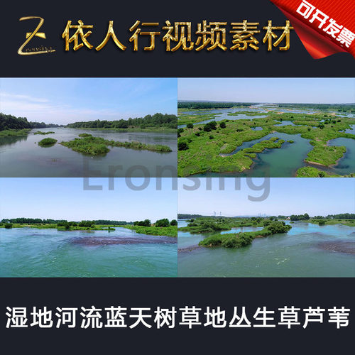 LED素材大屏幕舞台视频背景素材 湿地河流蓝天树木草地丛生草芦苇