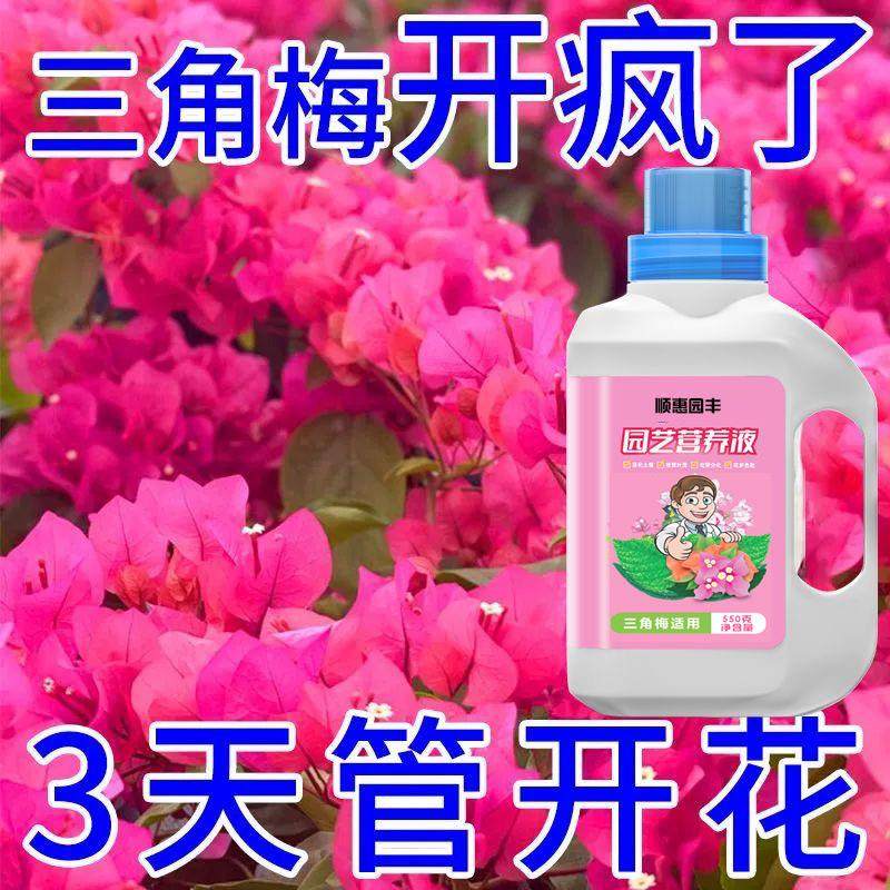 三角梅营养液专用叶面肥浓缩催花液开花粉通用水溶肥有机开花肥料,鲜花速递/花卉仿真/绿植园艺,家庭园艺肥料,淘宝优惠券,粉丝福利购,淘宝优惠卷