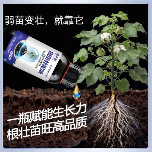 提苗壮根液花卉植物农作物养根壮根冲施灌根见效快苗壮防僵叶面肥