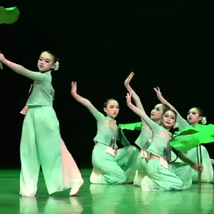 小荷叶舞蹈服女绿色古典舞演出服如梦令表演服荷叶翩翩舞蹈古典舞