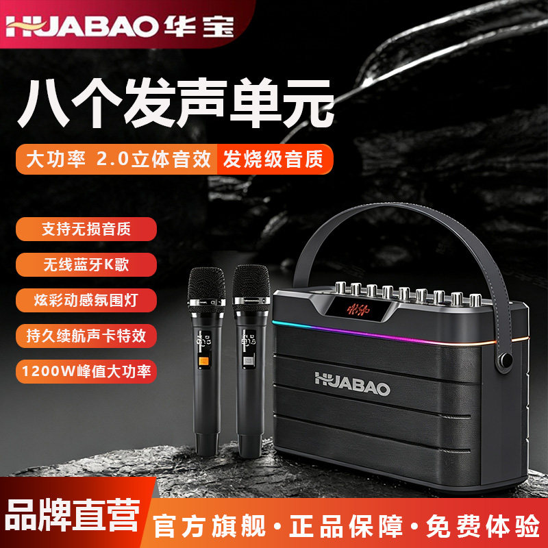 华宝户外广场舞蓝牙K歌音响直播音箱带话筒声卡重低音家用一体机