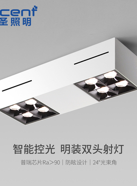 可圣照明 led双头斗胆灯防眩明装射灯超薄格栅灯免吊顶无主灯客厅