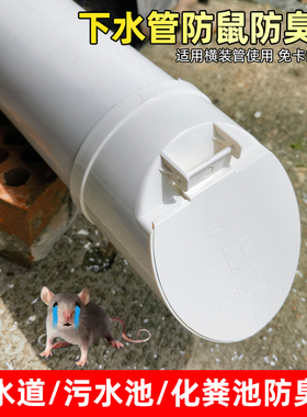 110排水管止逆阀止回阀下水管道排污防臭器堵口75/160防返臭配件