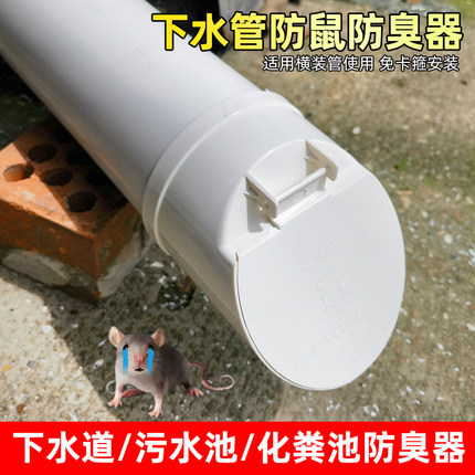 110排水管止逆阀止回阀下水管道排污防臭器堵口75/160防返臭配件