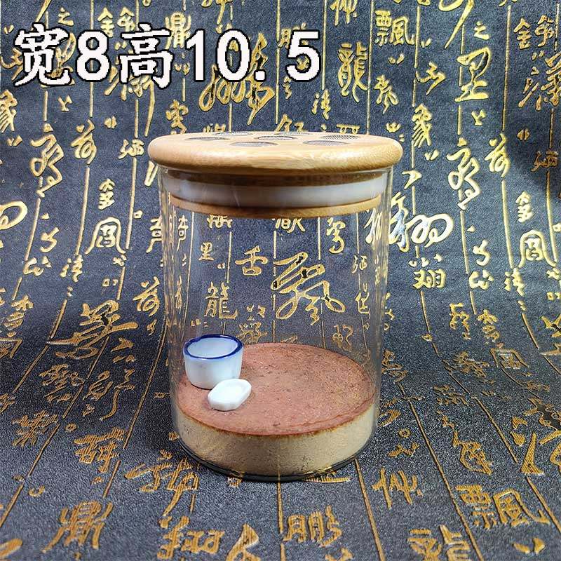 油葫芦叫罐鸣虫用具透明蟋蟀
