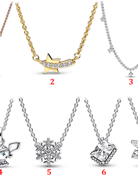 潘家S925纯银雪花花朵标本矩形吊坠锁骨链素链精致小众项链送女友