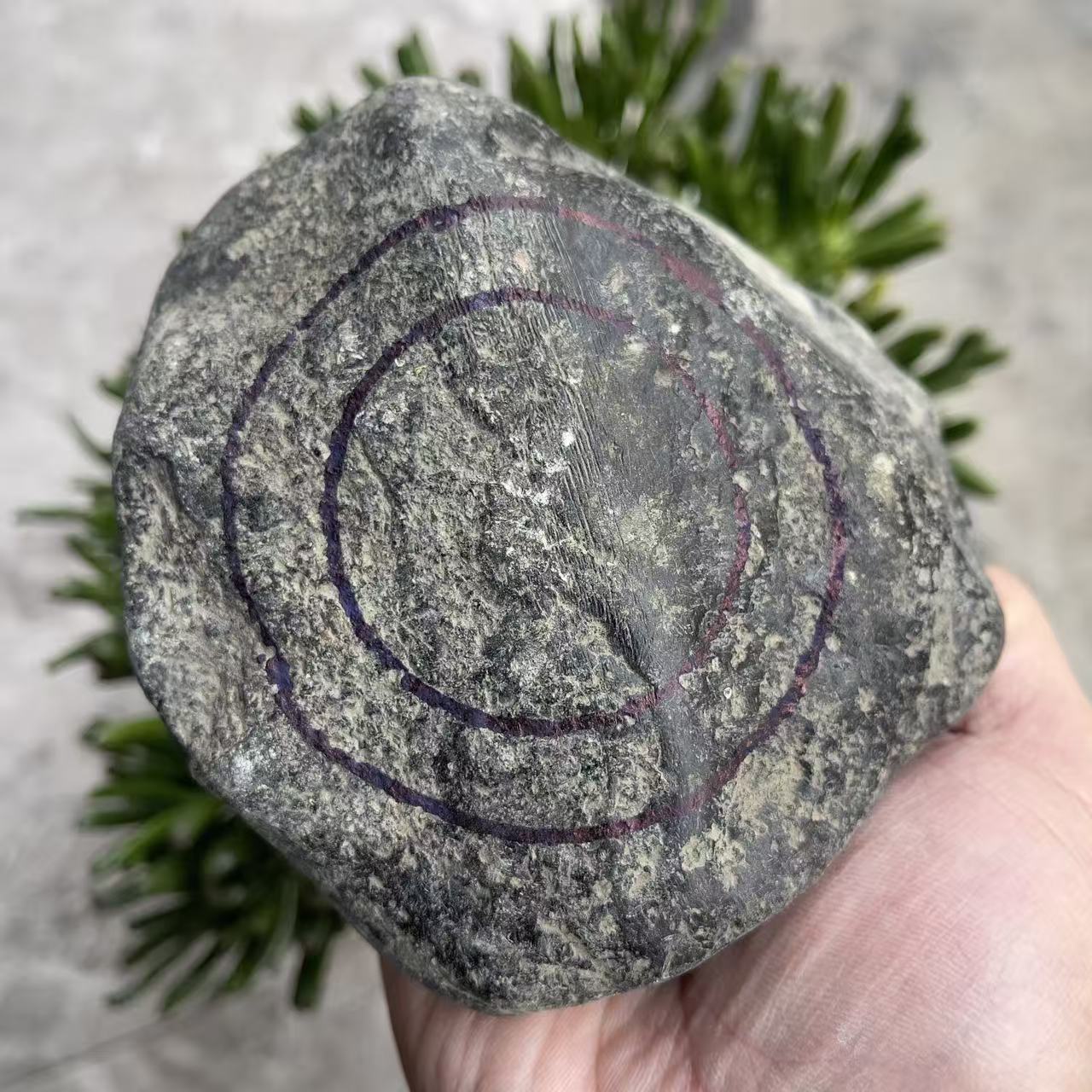 1.1kg缅甸翡翠原石纯天然玉石原石毛料莫湾基场口公斤a货