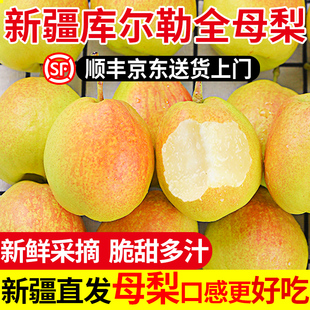 正宗新疆库尔勒香梨当季现摘新鲜水果全母梨子小香梨整箱全国包邮