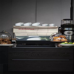 EE商用意式 lamarzocco辣妈Linea 半自动咖啡机双头 Classic