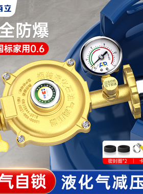 新国标煤气减压阀气罐天然气自闭阀安全防爆低压阀液化气泄压阀门