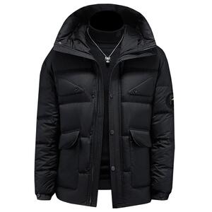 2025新款男士连帽90白鸭绒羽绒服 货号8027 P390图片