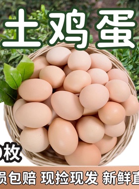 土鸡蛋草鸡蛋柴鸡蛋大鸡蛋初生蛋农家散养有机粮食散养新鲜顺丰