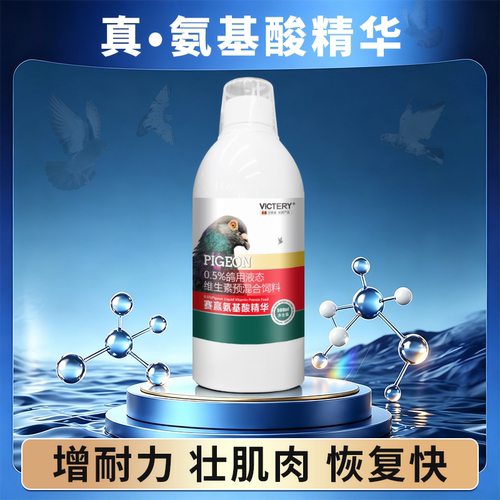 汉诺威赛鸽鸽用氨基酸精华液紫胸黑胸刀胸蛋白质补充比赛用品