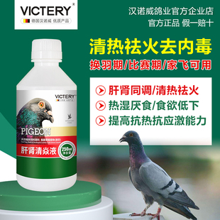 汉诺威鸽子清火绿色精清热祛火降火消除赛鸽比赛热反应肝精非鸽药