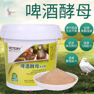 汉诺威啤酒酵母活力粉鸽子活菌促消化粪便成形水绿便保健营养品