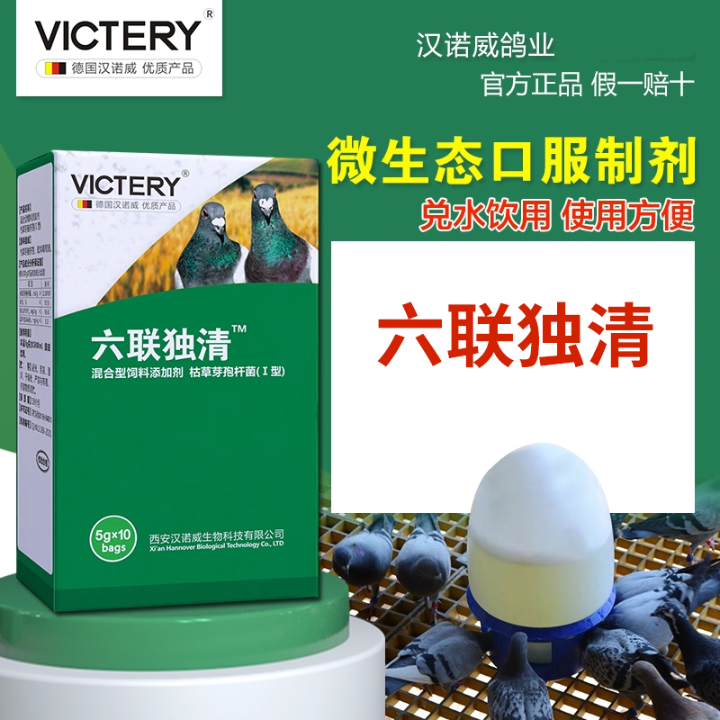 六联独清非鸽药汉诺威鸽子