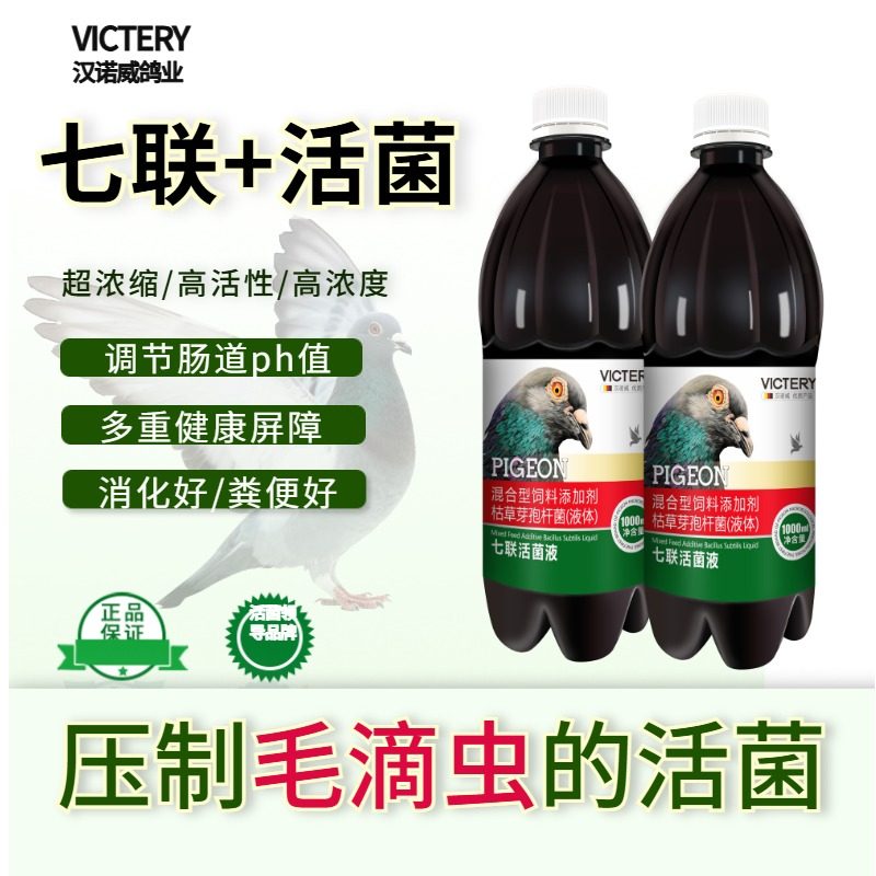 汉诺威鸽用活菌益生菌七联活菌液非鸽药鸽子专用药水绿便肠道