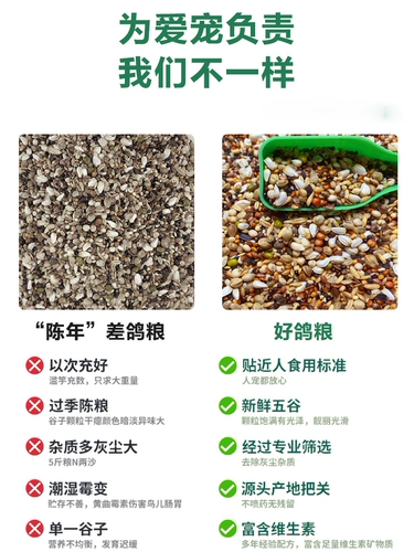 Ганноверский высококачественный голубиный зерно сорго сорго пшеница перец перец перец.