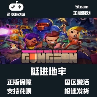 steam正版 挺进地牢 Enter The Gungeon 国区key