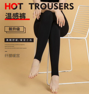 2248抗寒一体绒加厚女保暖打底裤 380克皮尔卡丹暖宫温感裤 2148