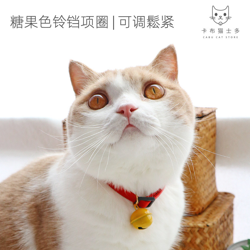 Cabo Cat Sto Kitty Pet dog Small bell A collar for a horse Kittens rabbit Teddy Necklace pet Jewelryin the Pet/Pet food and supplies , Pet apparel and accessories , Ornaments/Listing  category - from Buy2taobao.com to provide professional Taobao agent buy service