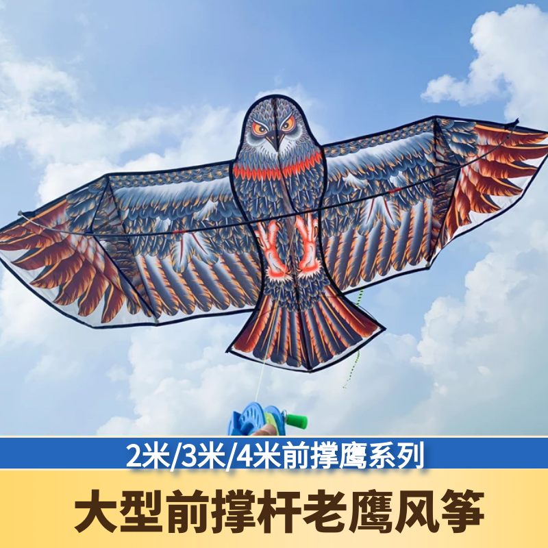 老鹰风筝新手初学者儿童易飞潍坊成人大型超大网红前撑杆老鹰风筝