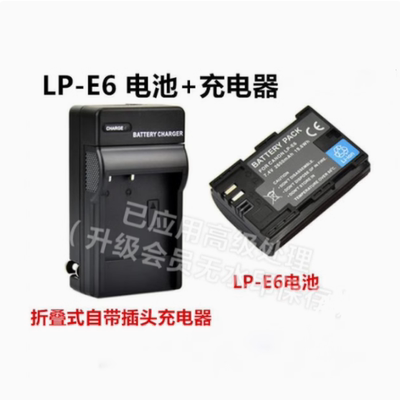 适用佳能 DS126281 DS126201 DS126321 DS126251 相机电池+充电器