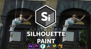 Silhouette Paint 中文字幕教程