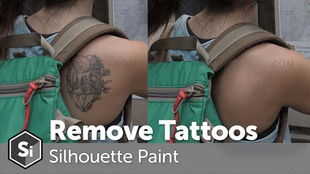 Silhouette Paint插件快速移除人物纹身教程