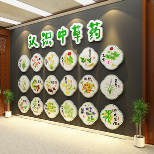 中草医药材食同源展示文化养生馆墙面装饰挂画布置环创标本彩图片