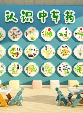 中草药医馆标本展示氛围布置幼儿园墙面装饰文化环创形象贴纸挂画