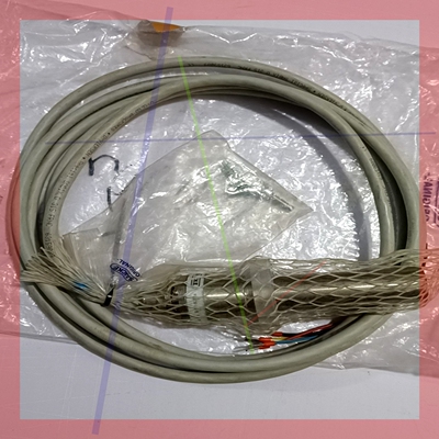 询价!FLS09 UV-5,SAACKE扎克原厂全新火眼