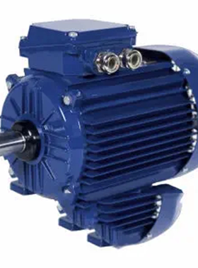 Cantoni Motor感应电机 SEMh90-4L