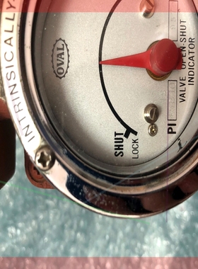 询价!OVAL PI45B10 9572CC,流量计