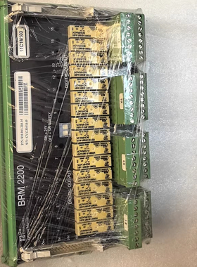 BRM 2200，SAM BRM 2200数字输出模块