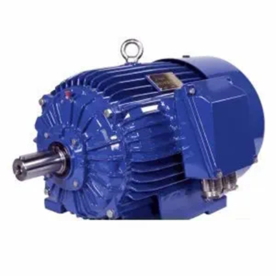 Cantoni Motor 3SIE80-2A   感应电机