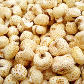 传统老式 爆米花童年怀旧零食原味微甜网红零食膨化即食