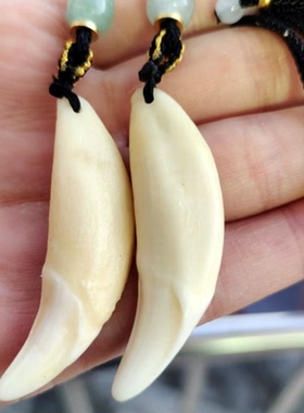 真品狗牙吊坠真藏獒牙齿真牙形挂件本命年饰品真牙齿宝宝随身挂件