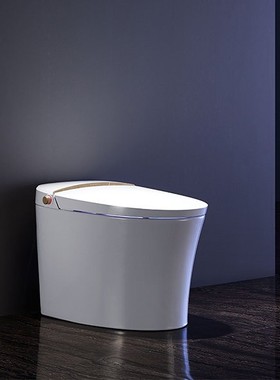 MIYA 美亚一体化智能座便器（金色智旋）