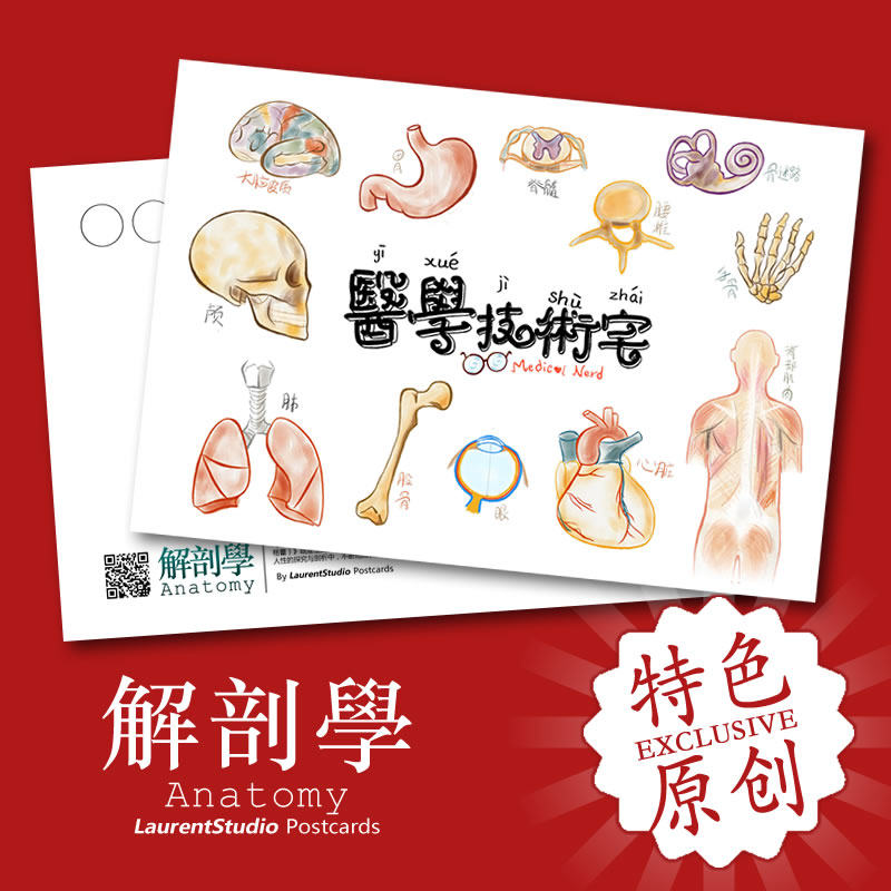 medical nerd系列原创明信片 医学图鉴 解剖学
