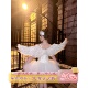 万圣节 蓬蓬裙成人礼服羽毛 天使服饰白天鹅cosplay派对翅膀套装