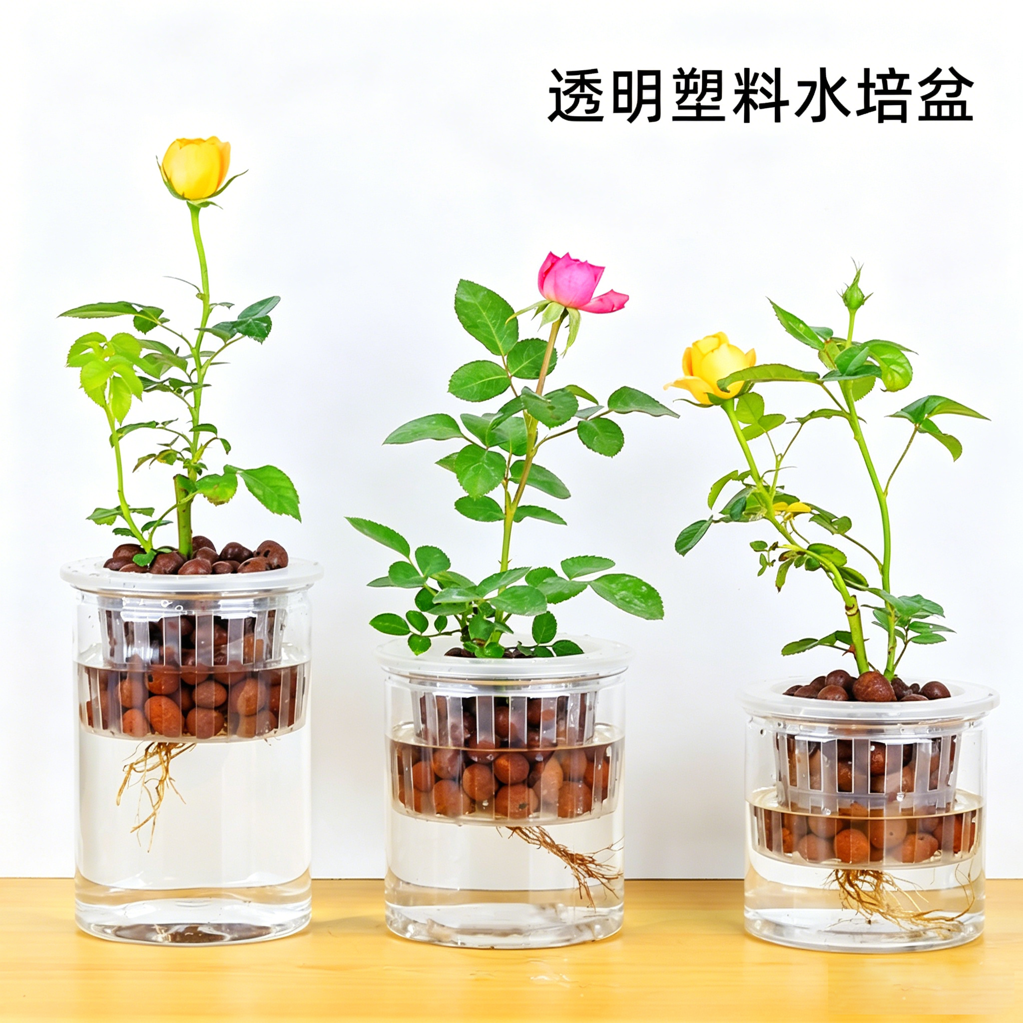 塑料水培器皿带陶粒深定植篮花盆透明瓶子水培月季绿植花卉盆栽
