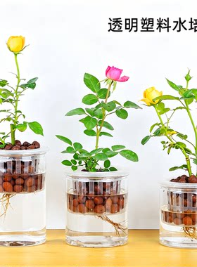 塑料水培器皿带陶粒深定植篮花盆透明瓶子水培月季绿植花卉盆栽