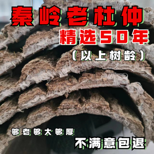 秦岭杜仲皮 老树厚皮男性泡酒泡茶滋补500克杜仲雄花茶中药材