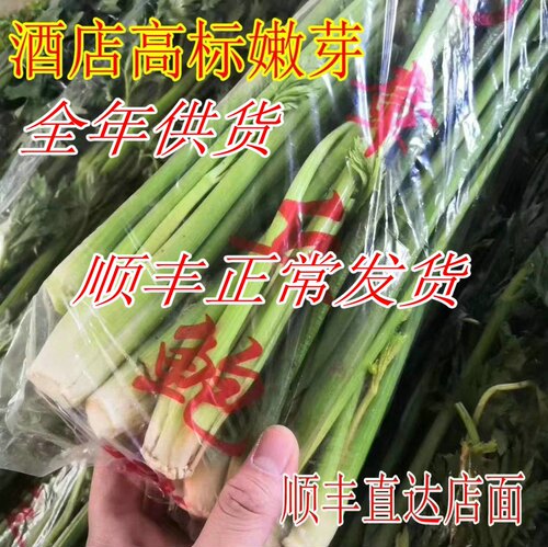 章丘鲍芹两根半嫩芽5斤农家种植
