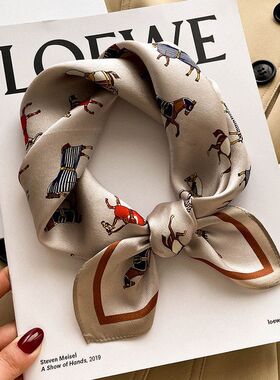 【批发】杭州丝绸女春秋季韩版百搭小马小领巾真丝丝巾53小方巾