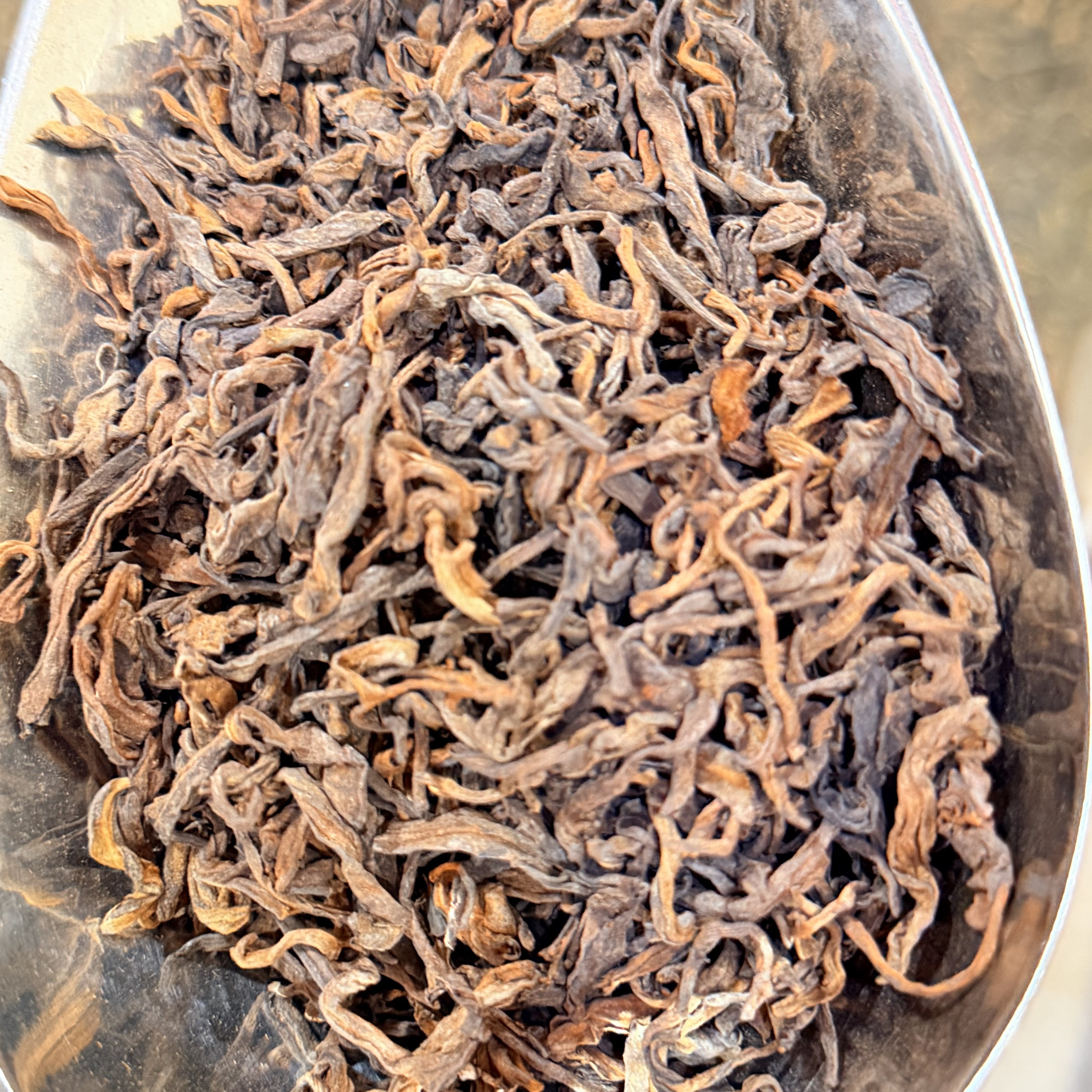 布朗熟散古树普洱熟普耐泡回甘