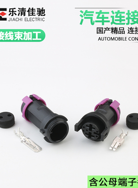 DJ70217-6.3-11/21汽车雾灯插头前照灯 813972926国产813972923