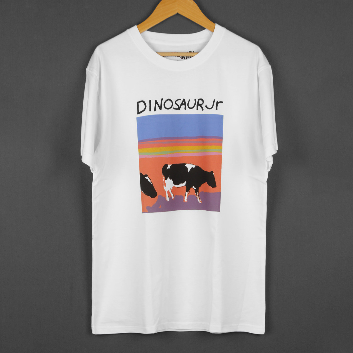 小恐龙乐队DinosaurJr短袖男T恤