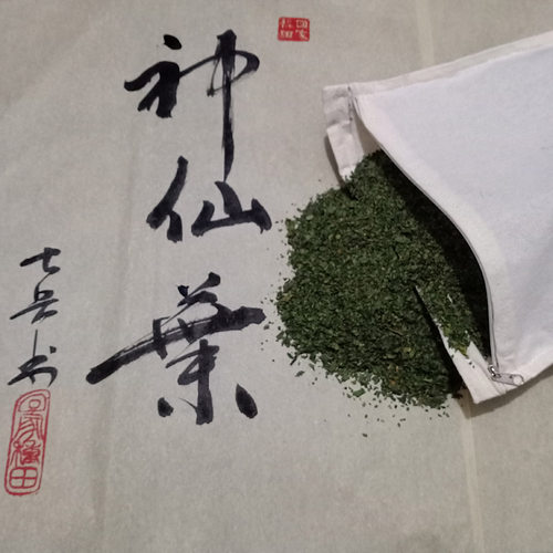 清凉桑叶枕霜后采收桑叶茶草本枕婴幼儿枕芯儿童学生成人枕头好香